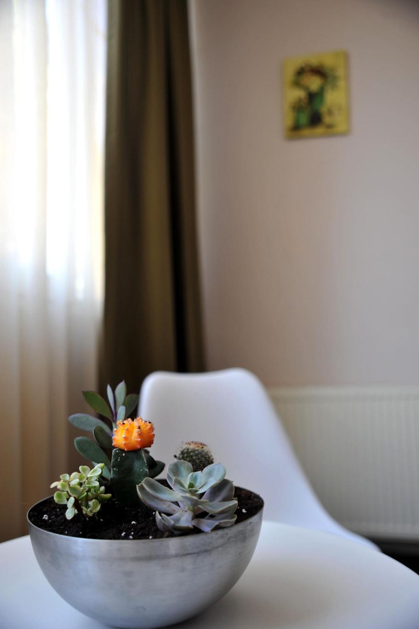 Like Home Braşov Eksteriør billede